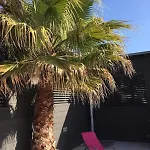 Prázdninový dům Maison 50m Des Plages 2 4 Pers Avec Piscine Chauffee Privee Angoulins-sur-Mer