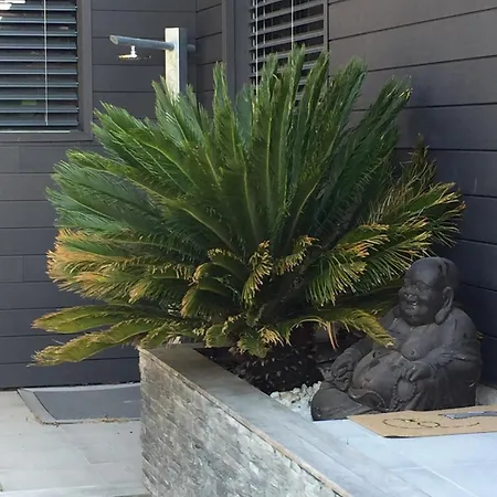 Tatil Evi Maison 50m Des Plages 2 4 Pers Avec Piscine Chauffee Privee